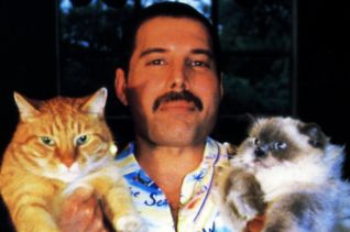 Фреді Меркюрі та його коти